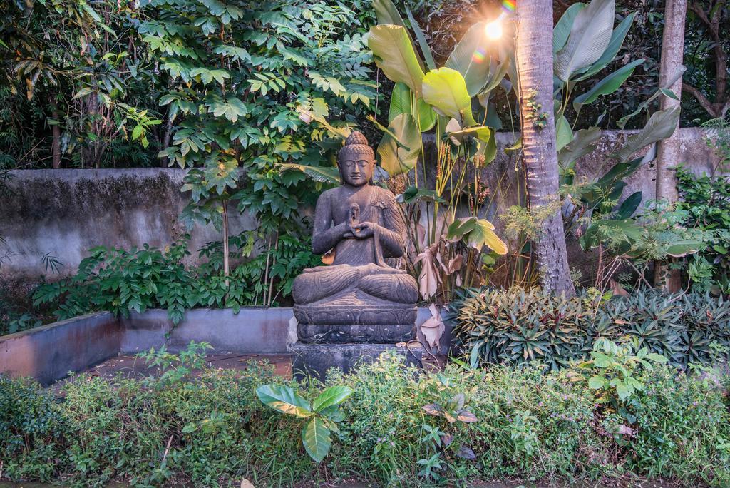 Stunning Villa Lily Lovina  Exterior photo